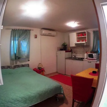 Mini Studio Apartment
